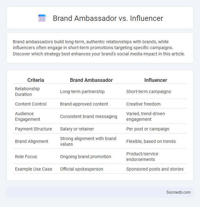 Brand Ambassador vs. Influencer - What is The Difference?