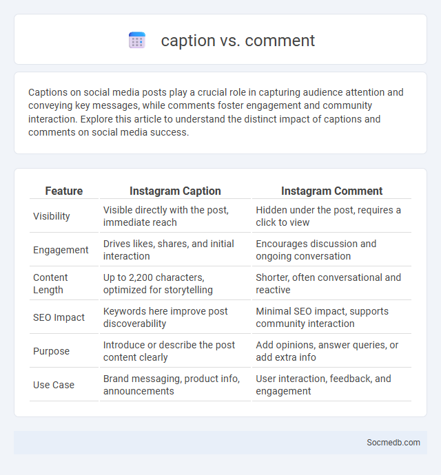 caption vs. comment - What is The Difference?