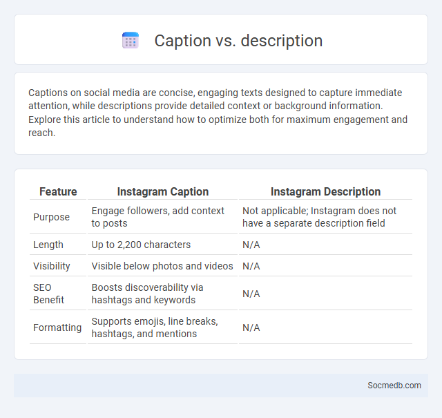 Caption vs. description - What is The Difference?