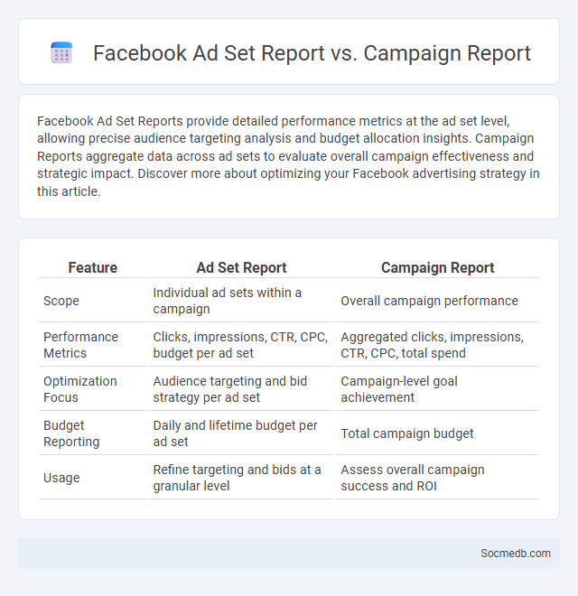 Facebook Ad Set Report vs. Campaign Report - What is The Difference?