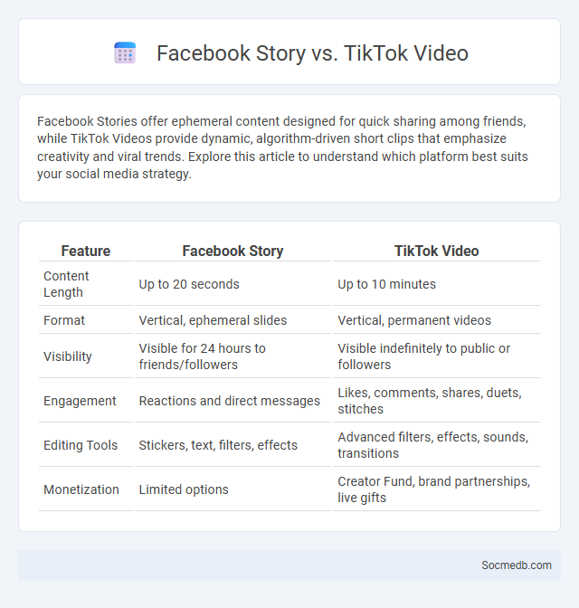 Facebook Story vs. TikTok Video - What is The Difference?