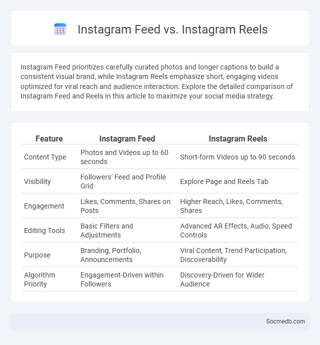 Instagram Feed vs. Instagram Reels - What is The Difference?