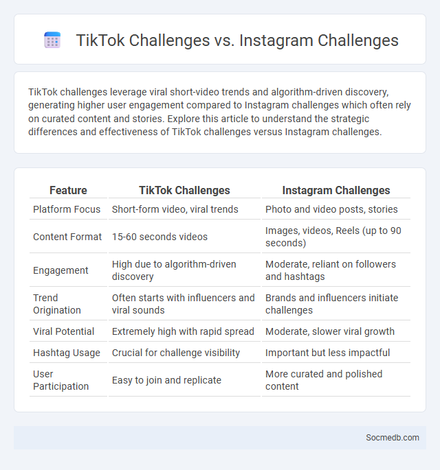 TikTok Challenges vs. Instagram Challenges - What is The Difference?