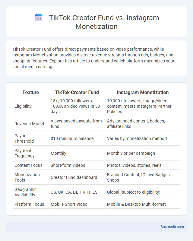 TikTok Creator Fund vs. Instagram Monetization - What is The Difference?