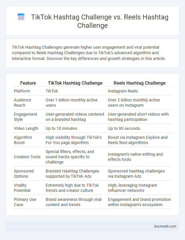 TikTok Hashtag Challenge vs. Reels Hashtag Challenge - What is The Difference?