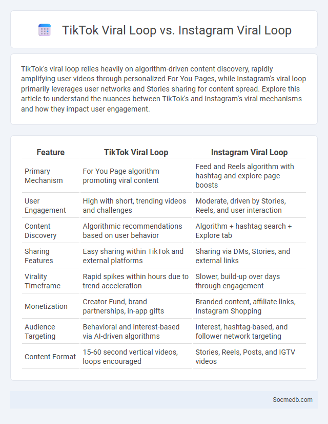 TikTok Viral Loop vs. Instagram Viral Loop - What is The Difference?