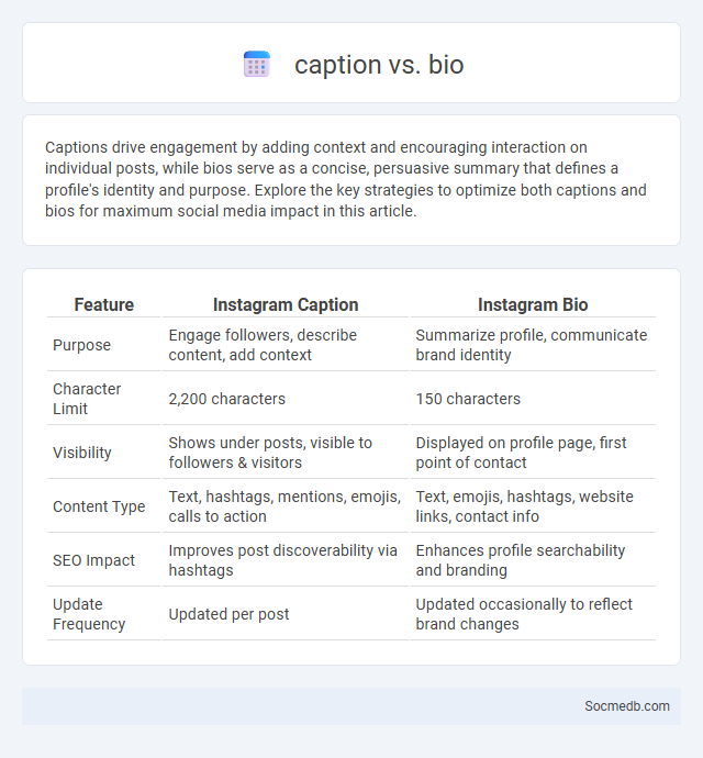 caption vs. bio - What is The Difference?