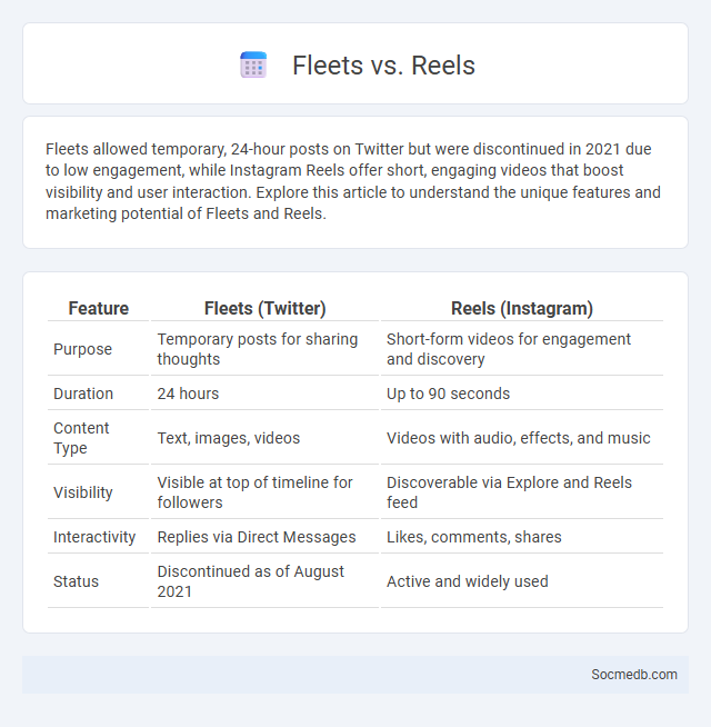 Fleets vs. Reels - What is The Difference?