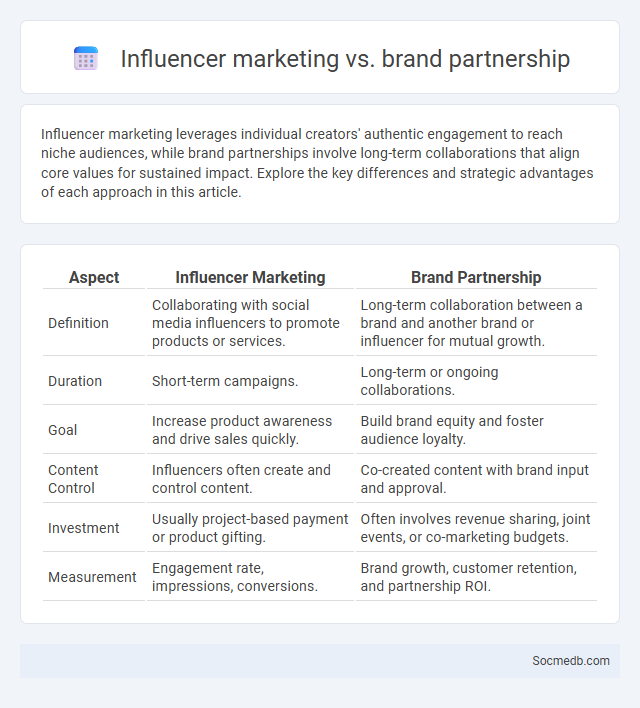 Influencer marketing vs. brand partnership - What is The Difference?