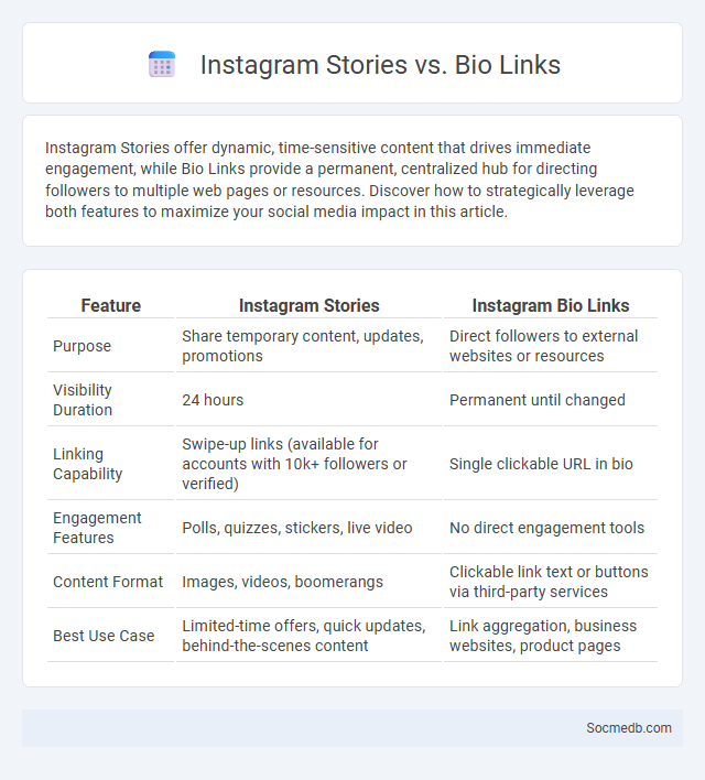 Instagram Stories vs. Bio Links - What is The Difference?