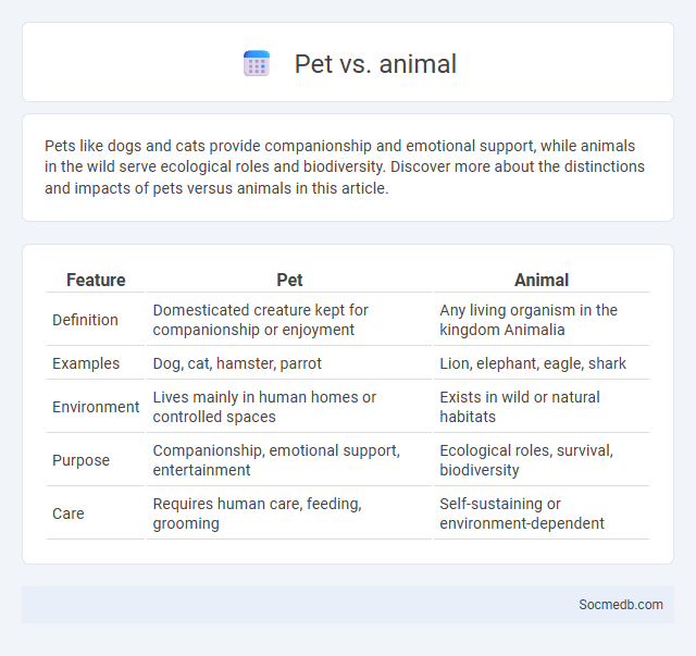 Pet vs. animal - What is The Difference?