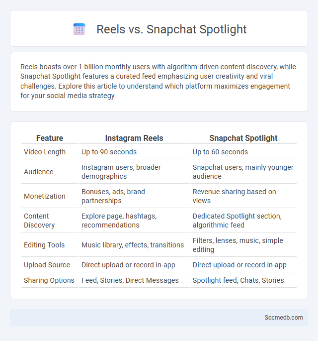 Reels vs. Snapchat Spotlight - What is The Difference?
