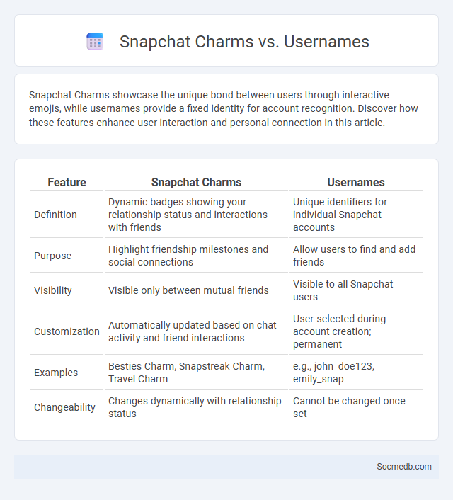 Snapchat Charms vs. Usernames - What is The Difference?