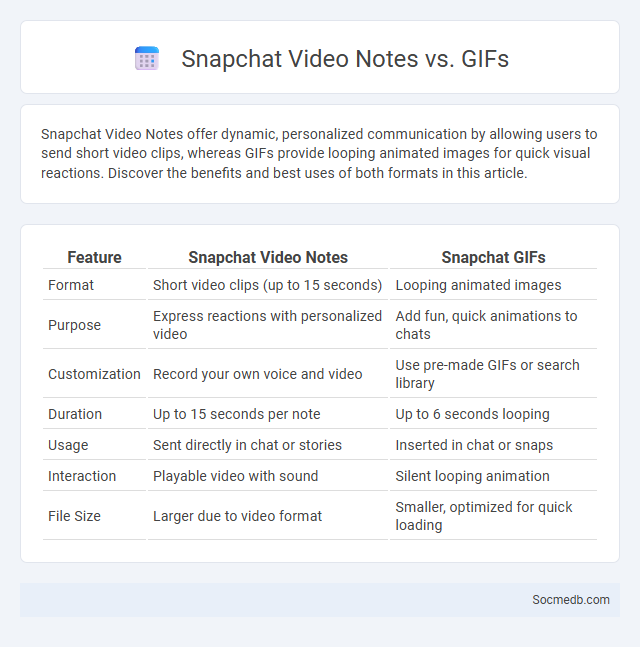 Snapchat Video Notes vs. GIFs - What is The Difference?