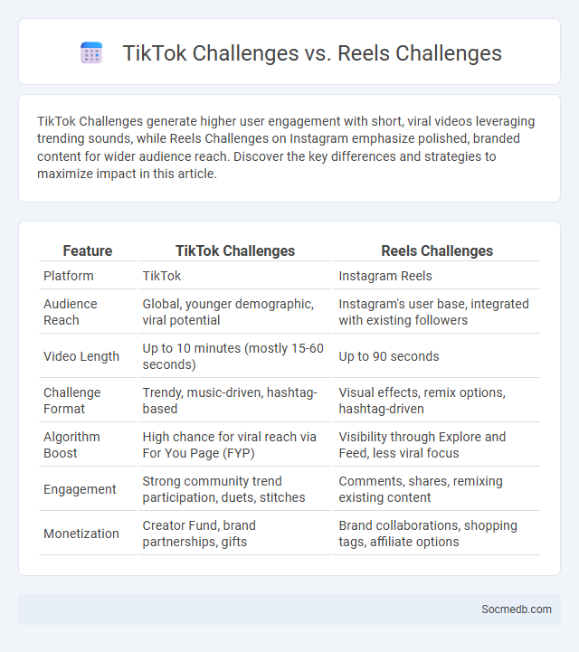 TikTok Challenges vs. Reels Challenges - What is The Difference?