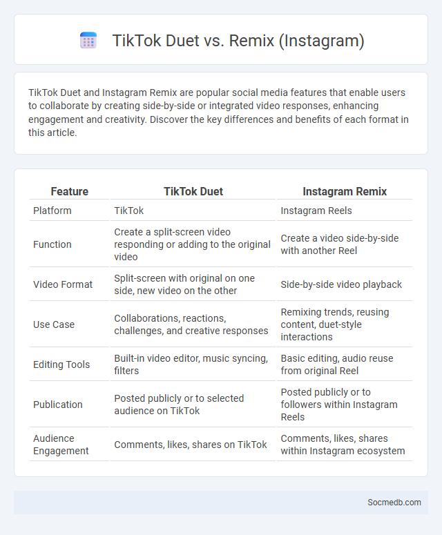TikTok Duet vs. Remix (Instagram) - What is The Difference?