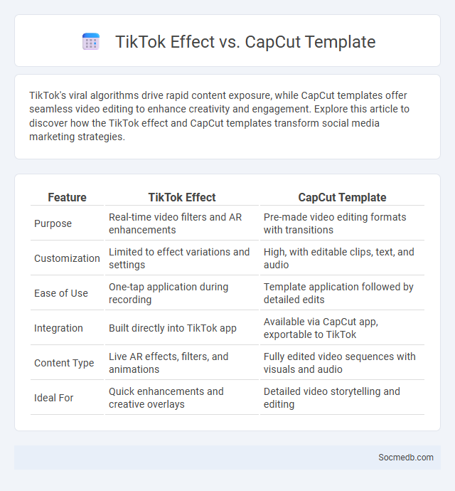 TikTok Effect vs. CapCut Template - What is The Difference?