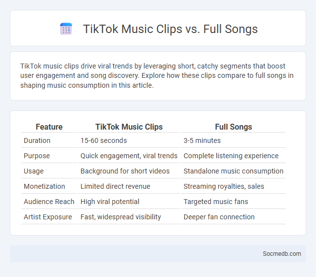 TikTok Music Clips vs. Full Songs - What is The Difference?