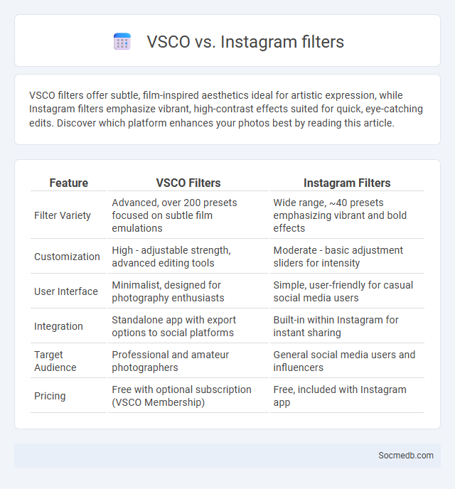 VSCO vs. Instagram filters - What is The Difference?
