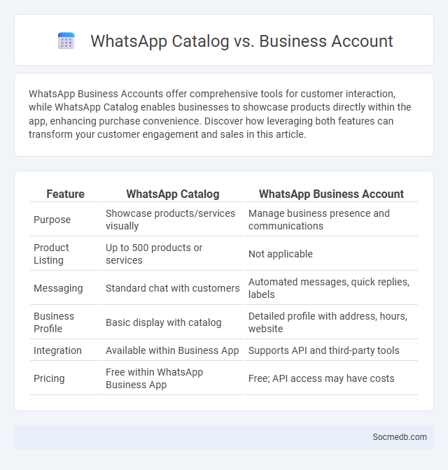 WhatsApp Catalog vs. Business Account - What is The Difference?