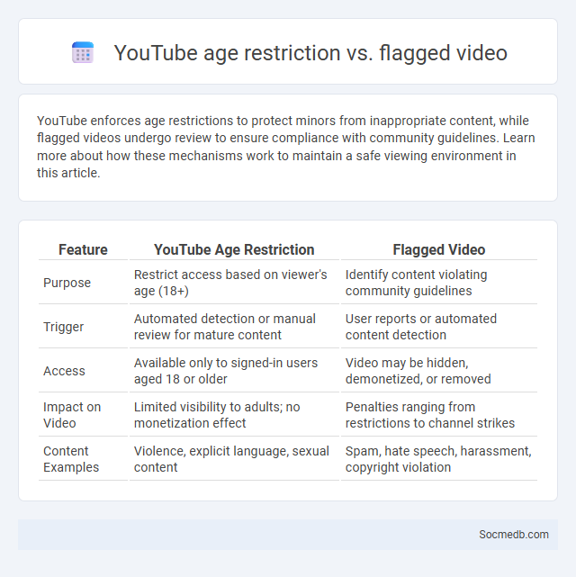 YouTube age restriction vs. flagged video - What is The Difference?