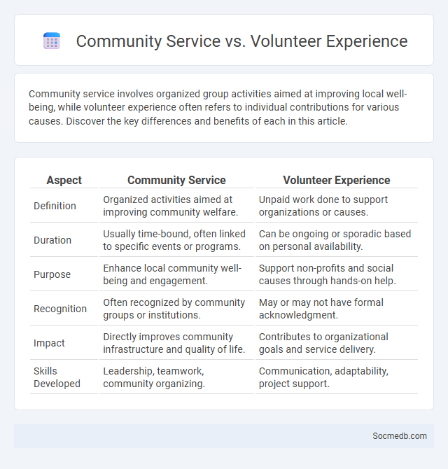 Community Service vs. Volunteer Experience - What is The Difference?
