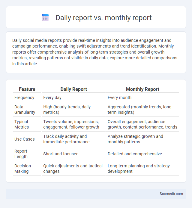 Daily report vs. monthly report - What is The Difference?