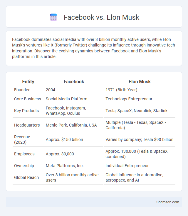 Facebook vs. Elon Musk - What is The Difference?