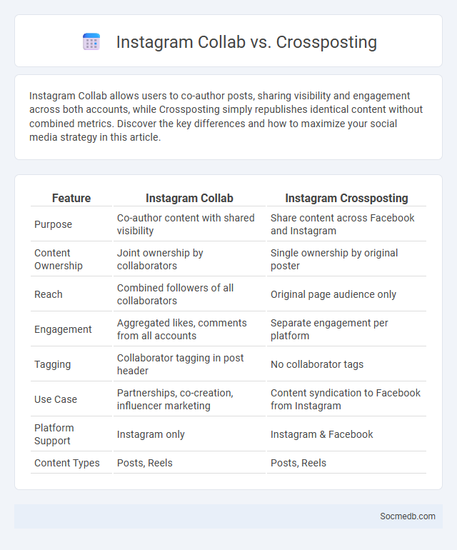 Instagram Collab vs. Crossposting - What is The Difference?