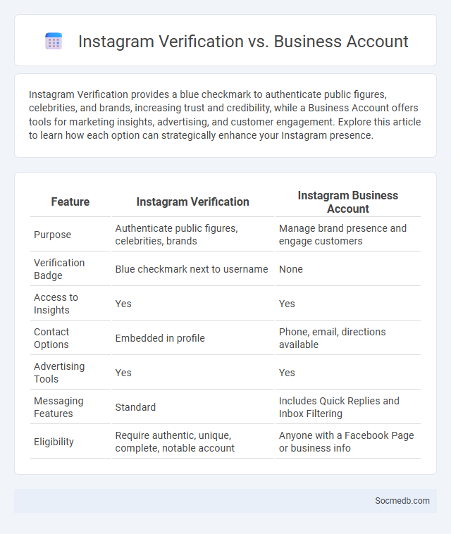 Instagram Verification vs. Business Account - What is The Difference?