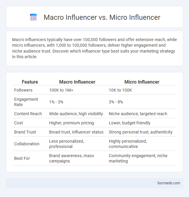 Macro Influencer vs. Micro Influencer - What is The Difference?