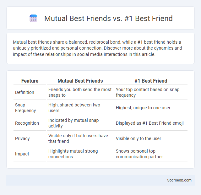 Mutual Best Friends vs. #1 Best Friend - What is The Difference?