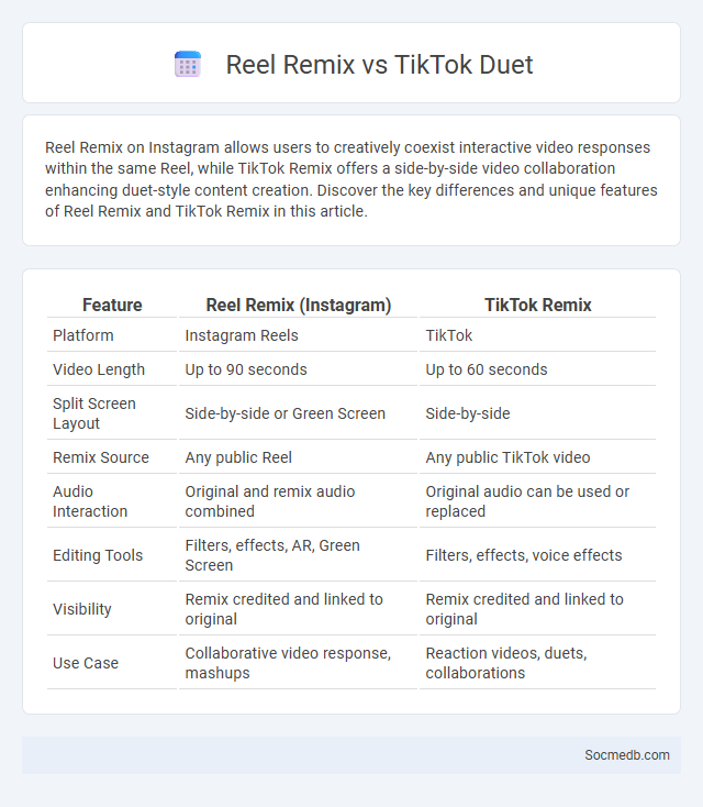 Reel Remix vs TikTok Duet - What is The Difference?