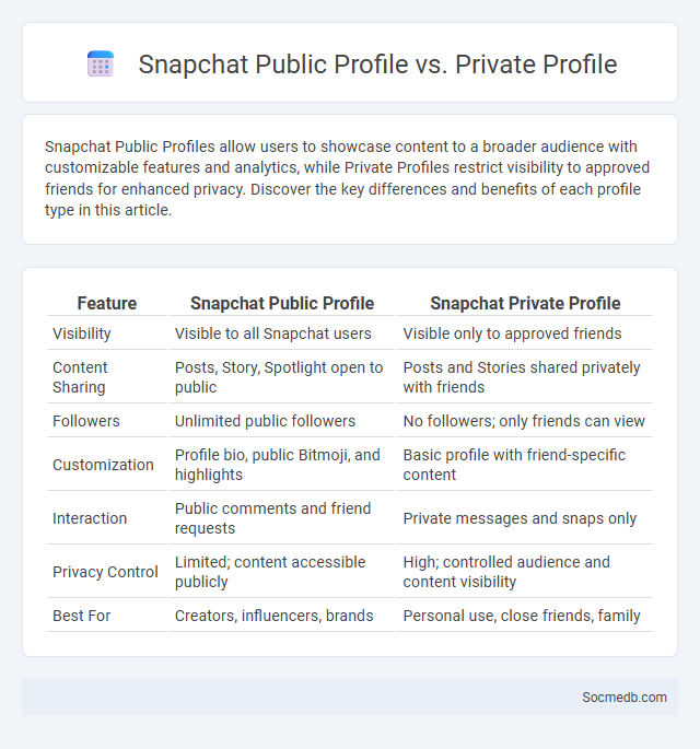 Snapchat Public Profile vs. Private Profile - What is The Difference?