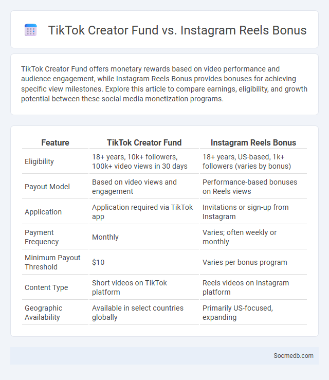 TikTok Creator Fund vs. Instagram Reels Bonus - What is The Difference?