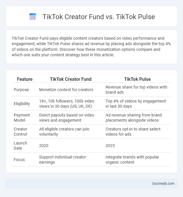 TikTok Creator Fund vs. TikTok Pulse - What is The Difference?
