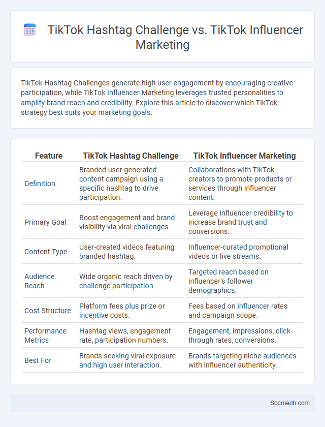 TikTok Hashtag Challenge vs. TikTok Influencer Marketing - What is The Difference?
