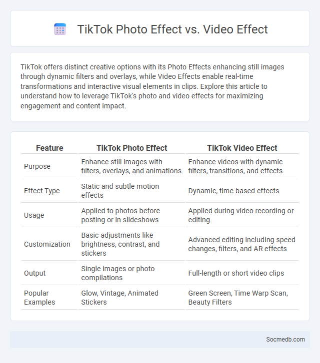 TikTok Photo Effect vs. Video Effect - What is The Difference?
