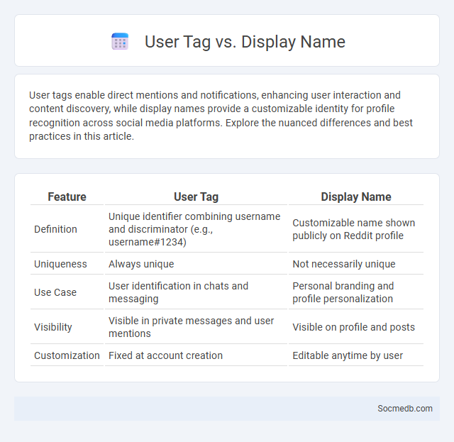 User Tag vs. Display Name - What is The Difference?