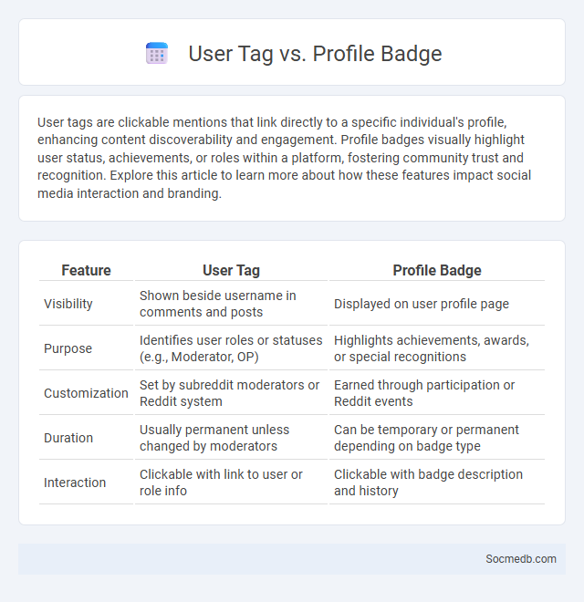 User Tag vs. Profile Badge - What is The Difference?