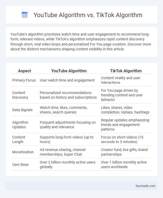 YouTube Algorithm vs. TikTok Algorithm - What is The Difference?