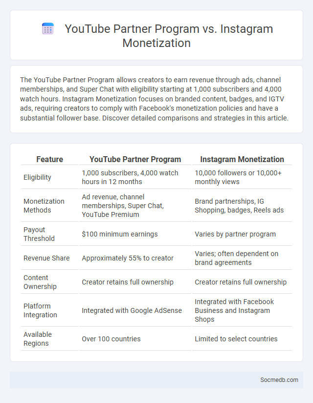 YouTube Partner Program vs. Instagram Monetization - What is The Difference?