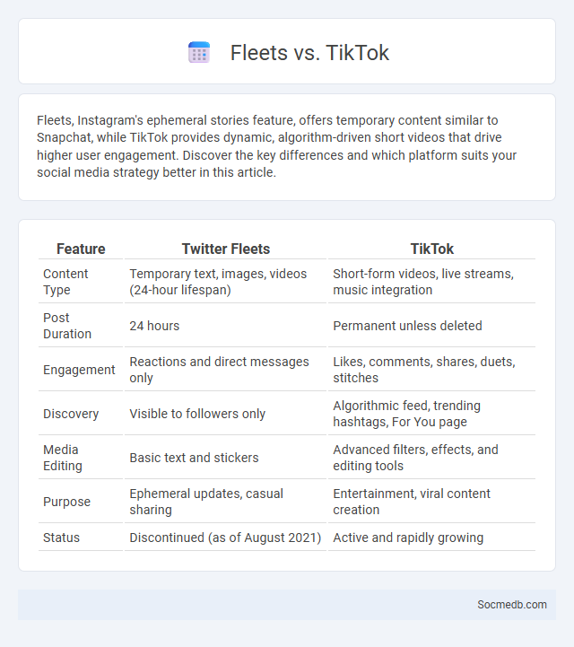 Fleets vs. TikTok - What is The Difference?