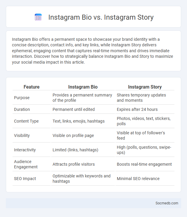 Instagram Bio vs. Instagram Story - What is The Difference?