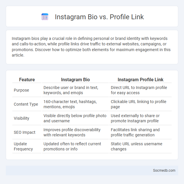 Instagram Bio vs. Profile Link - What is The Difference?