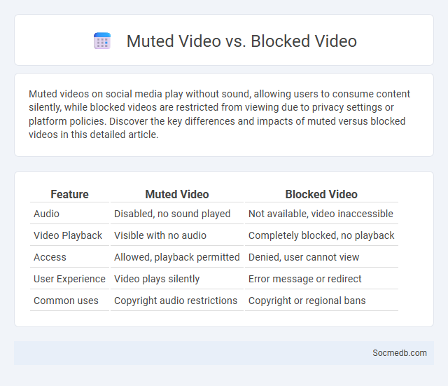 Muted Video vs. Blocked Video - What is The Difference?