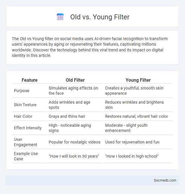 Old vs. Young Filter - What is The Difference?