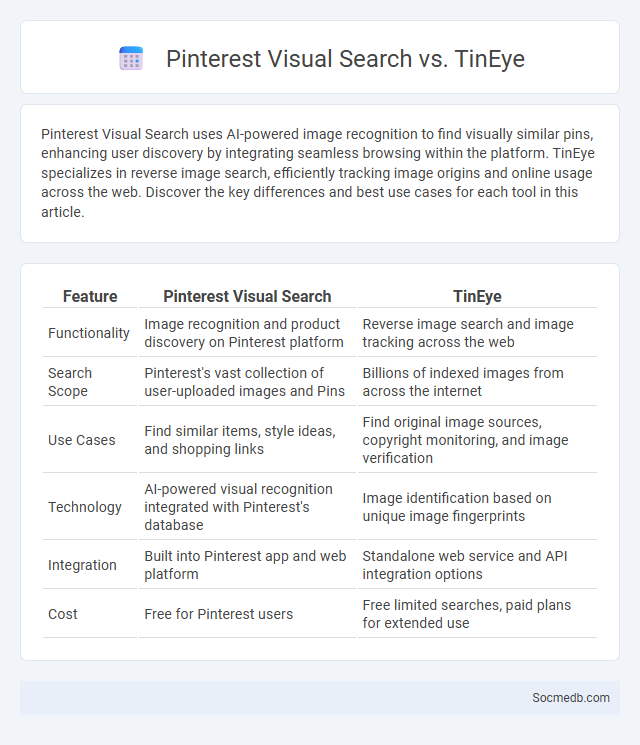 Pinterest Visual Search vs. TinEye - What is The Difference?