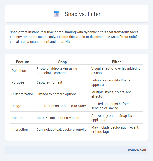 Snap vs. Filter - What is The Difference?