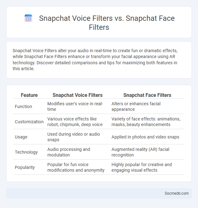 Snapchat Voice Filters vs. Snapchat Face Filters - What is The Difference?